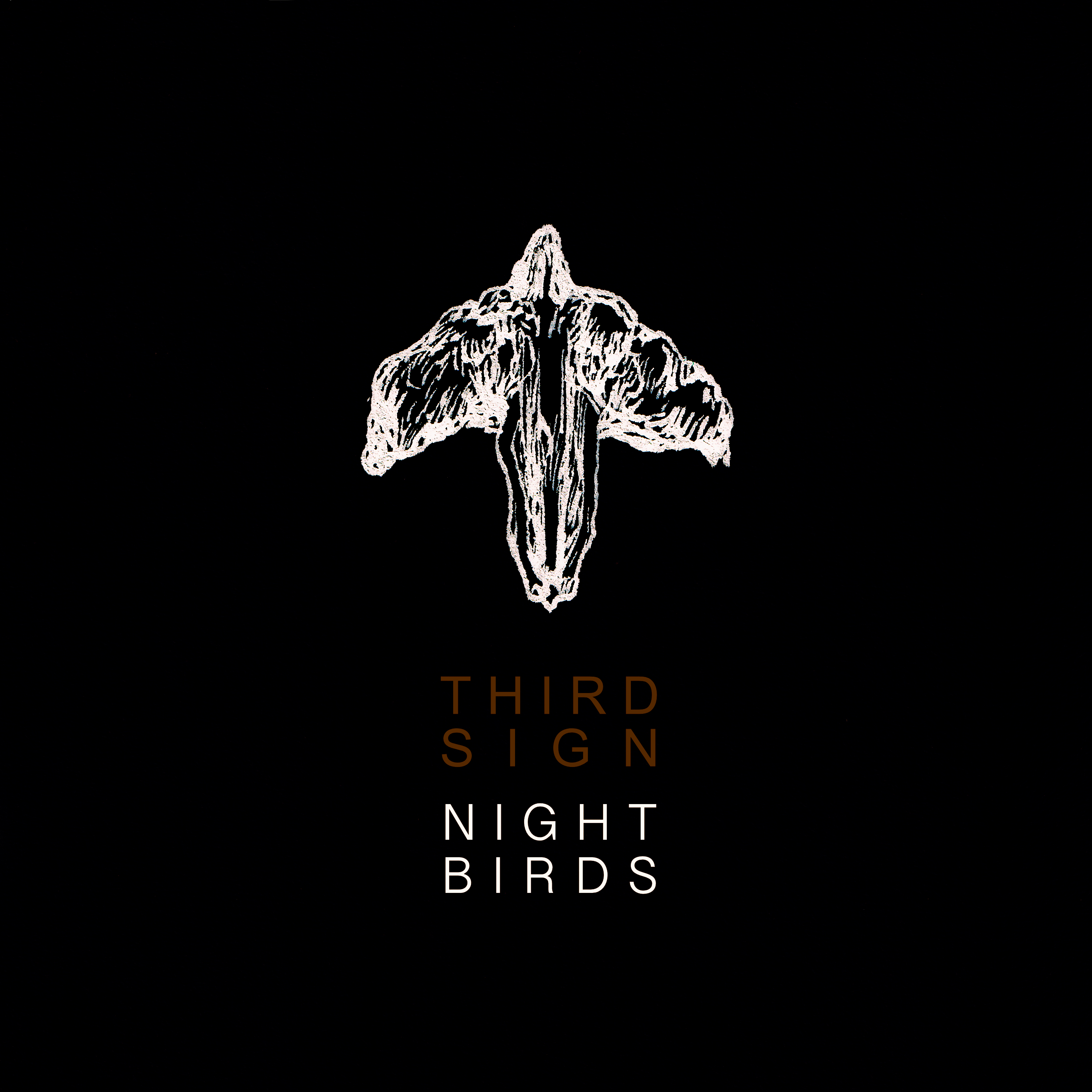Cover image for the single 'Nightbirds' by Third Sign, comprised of the song title Band Logo - a white angel-shaped seed of a birch tree on black background, hand-drawn by Laura Seitz